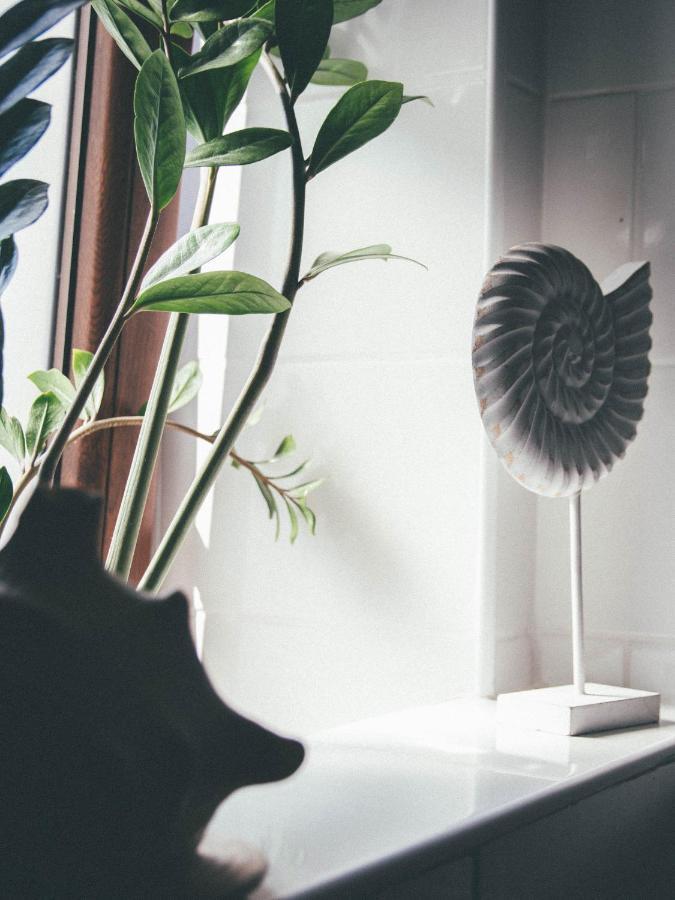Willa Piwniczka Apartament Jahlowej Piwniczna-Zdroj Exteriör bild