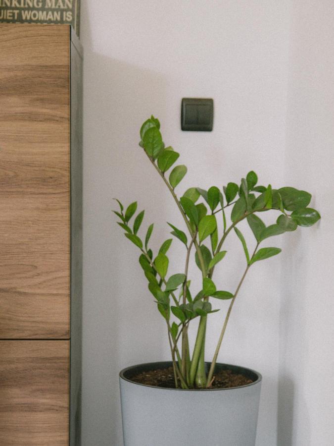 Willa Piwniczka Apartament Jahlowej Piwniczna-Zdroj Exteriör bild
